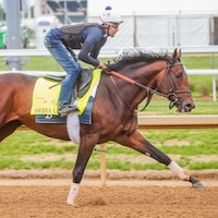 Sierra Leone training for the Kentucky Derby (Photo by Horsephotos.com)