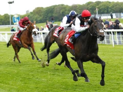 Golden Horn