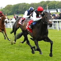 Golden Horn