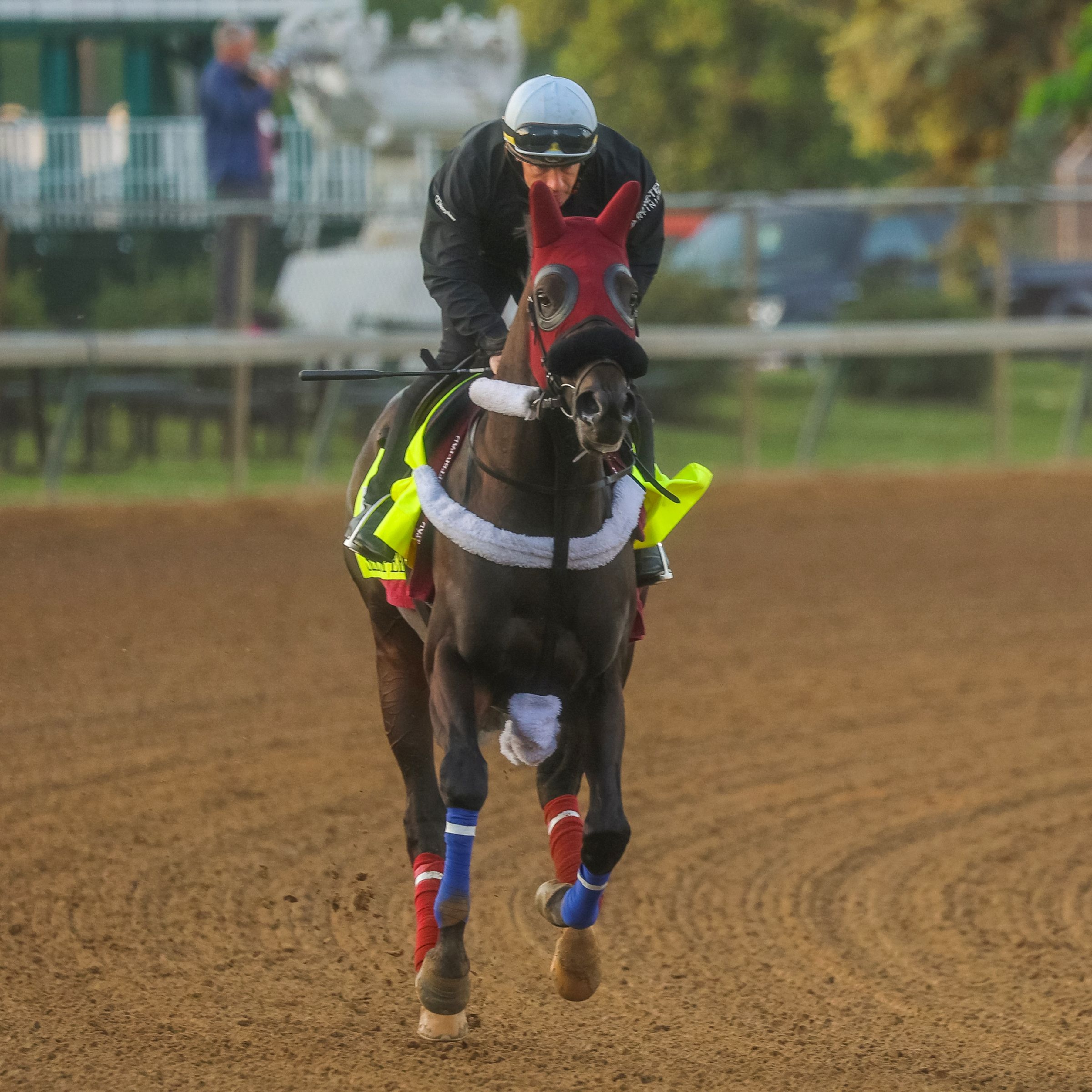 Six Speed trains for the Kentucky Derby (Photo by Horsephotos.com/Rickelle Neslon)