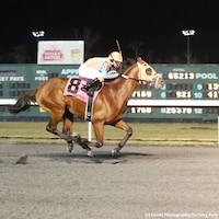 Somelikeithotbrown winning the 2019 John Battaglia Memorial. (Coady Photography)