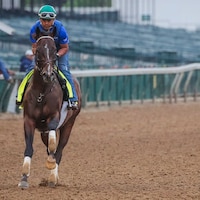 Sovereignty trains for the Kentucky Derby (Photo by Horsephotos)