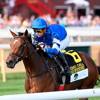 Star of Mystery winning the Quick Call (G3) at Saratoga (Photo by Coglianese Photos/Chelsea Durand)