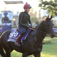Starlust works out prior to the Breeders' Cup at Del Mar.