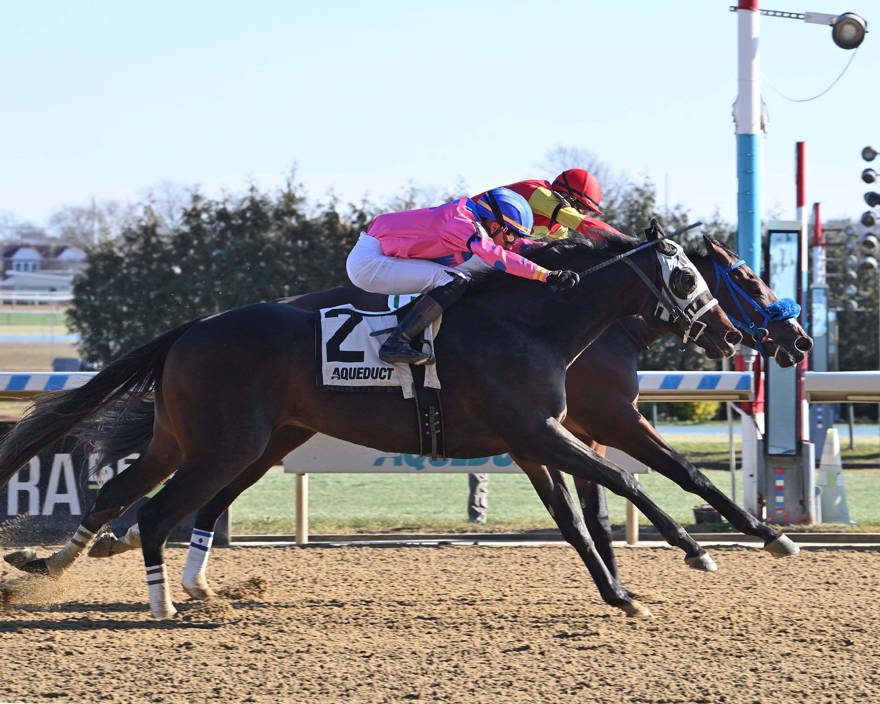 Strat Mo Matic winning his debut at Aqueduct (Photo by Coglianese Photos)