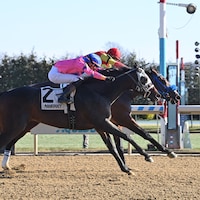 Strat Mo Matic winning his debut at Aqueduct (Photo by Coglianese Photos)