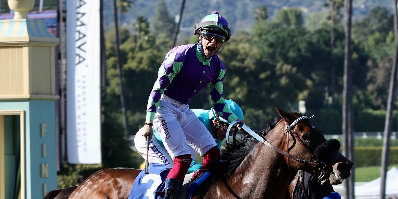 Stronghold (Photo by Horsephotos.com)