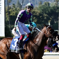 Stronghold (Photo by Horsephotos.com)