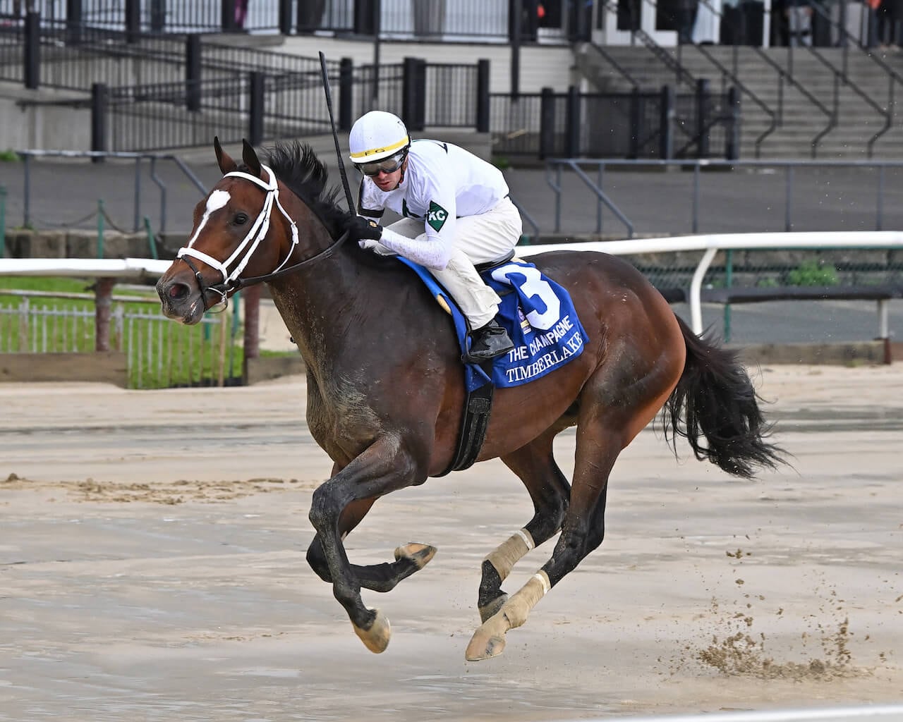 Timberlake winning the Champagne (G1) at Aqueduct (Photo by Coglianese Photos/Joe Labozzetta)