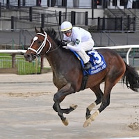 Timberlake winning the Champagne (G1) at Aqueduct (Photo by Coglianese Photos/Joe Labozzetta)