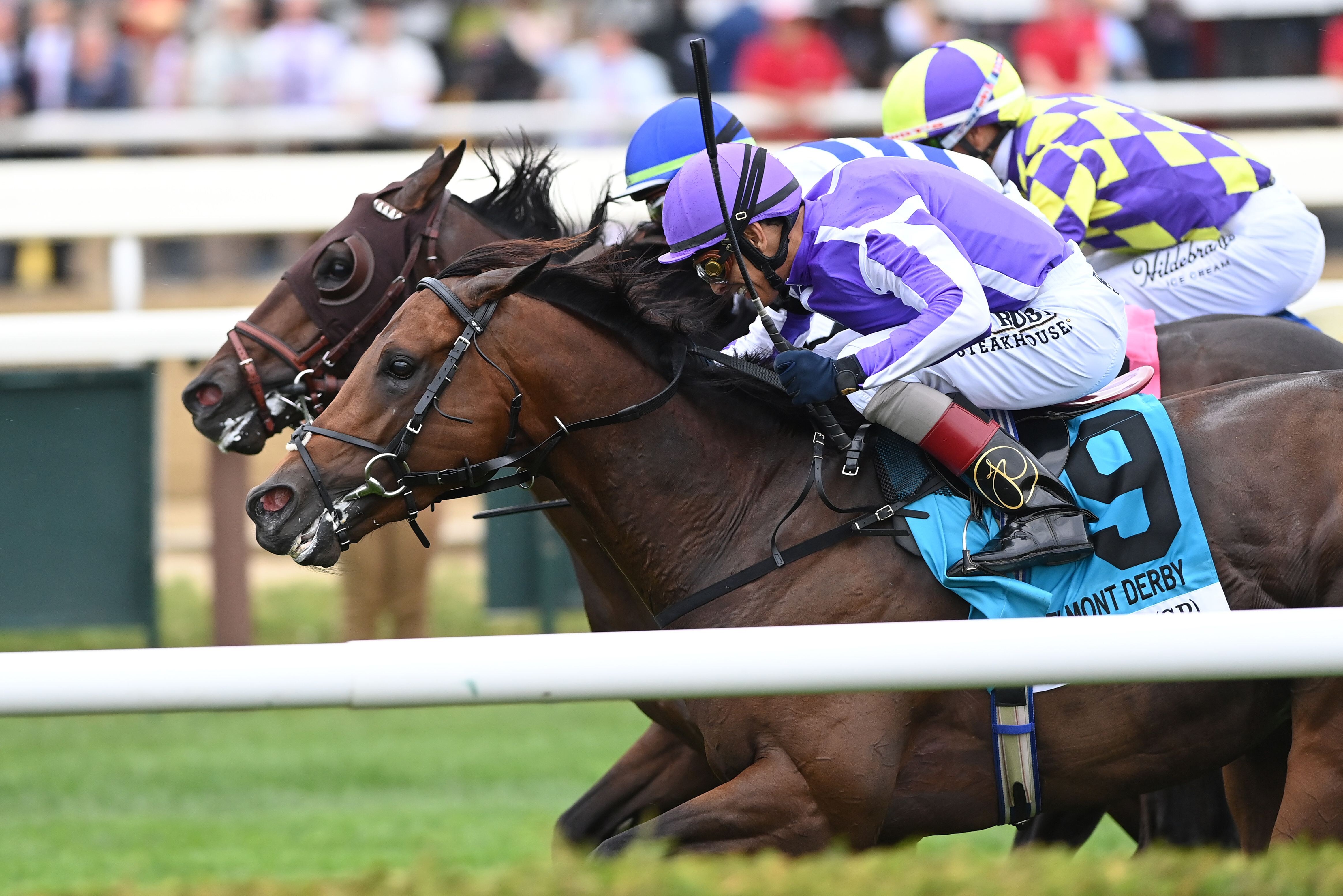 Title Role (#9) edges West End Kid to win the Belmont Derby (G1) at Saratoga.