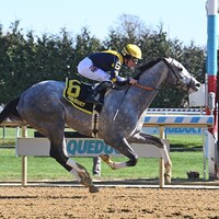 Tux wins at Aqueduct.