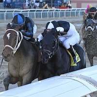 Uncle Heavy (left) winning the Withers (G3) at Aqueduct (Photo by Coglianese Photos/Joe Labozzetta)