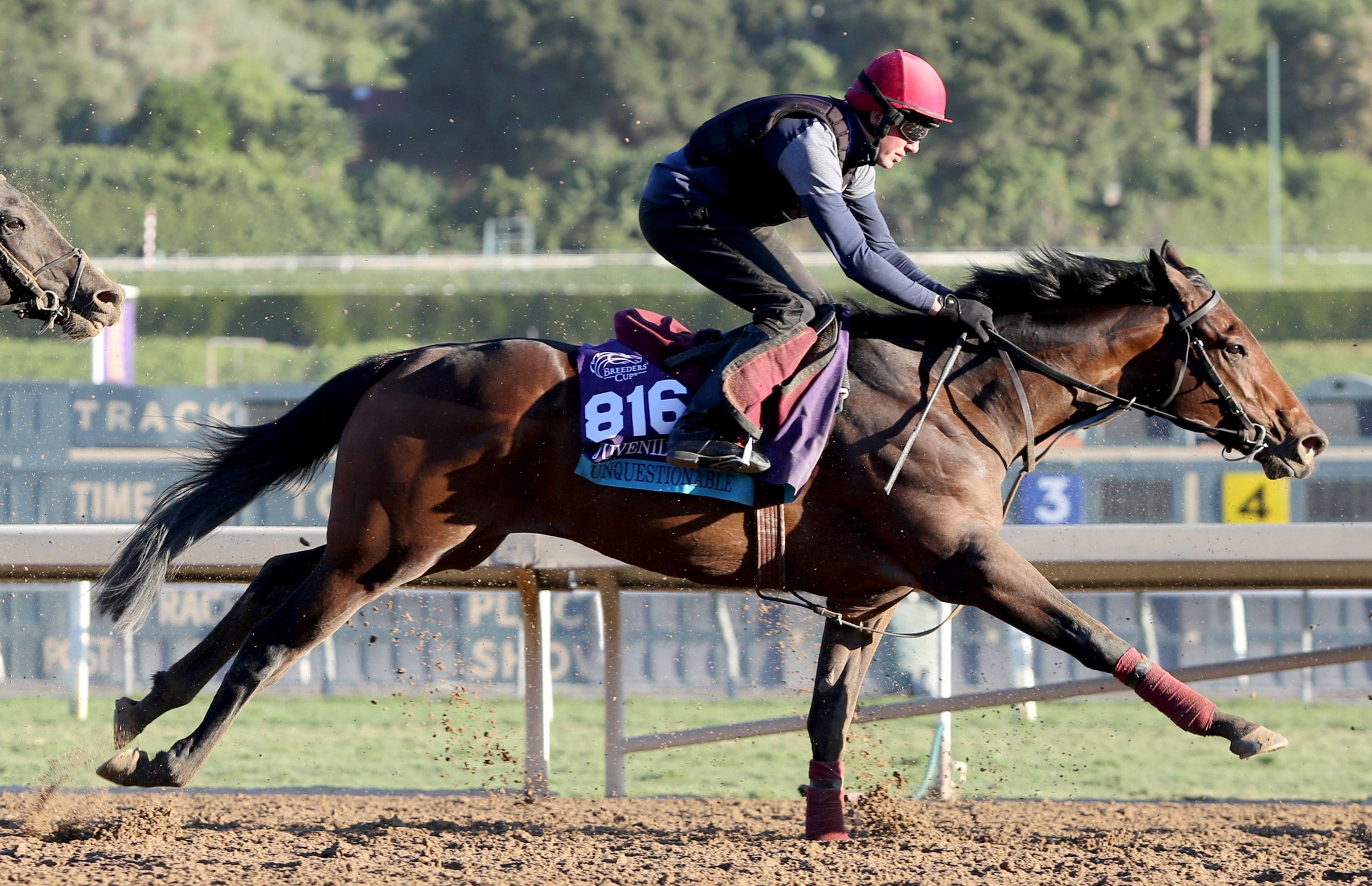 Unquestionable wins at Breeders Cup in 2023.