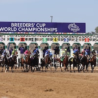 Breeders' Cup World Championships at Del Mar (Photo by Horsephotos.com)