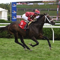 West Hollywood winning the Saranac (G3) at Saratoga
