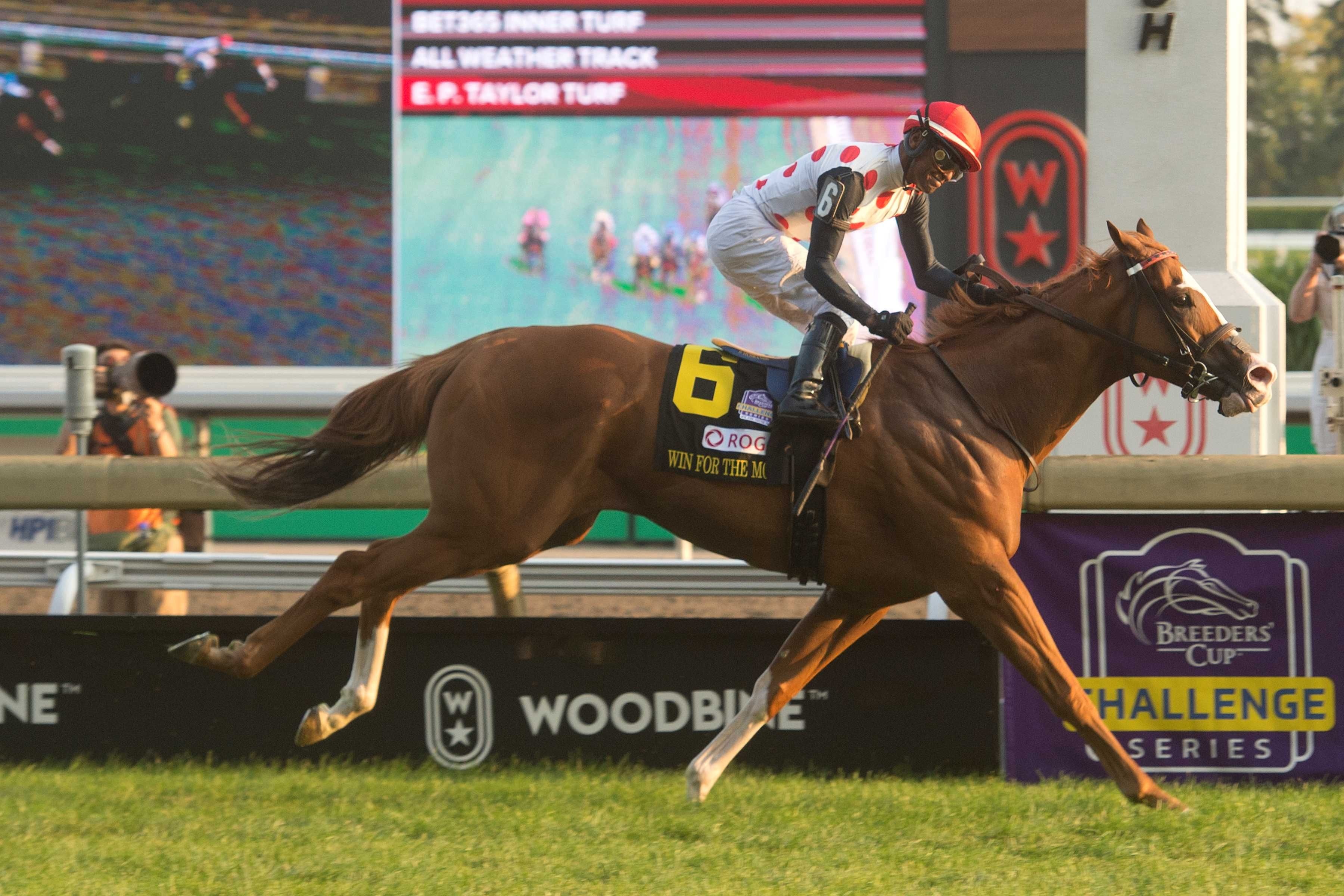 Win for the Money winning the Woodbine Mile (G1) at Woodbine (Photo by Michael Burns)