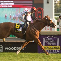 Win for the Money winning the Woodbine Mile (G1) at Woodbine (Photo by Michael Burns)