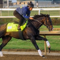 Wonder Dean trains towards the Kentucky Derby (Photo by Horsephotos.com)