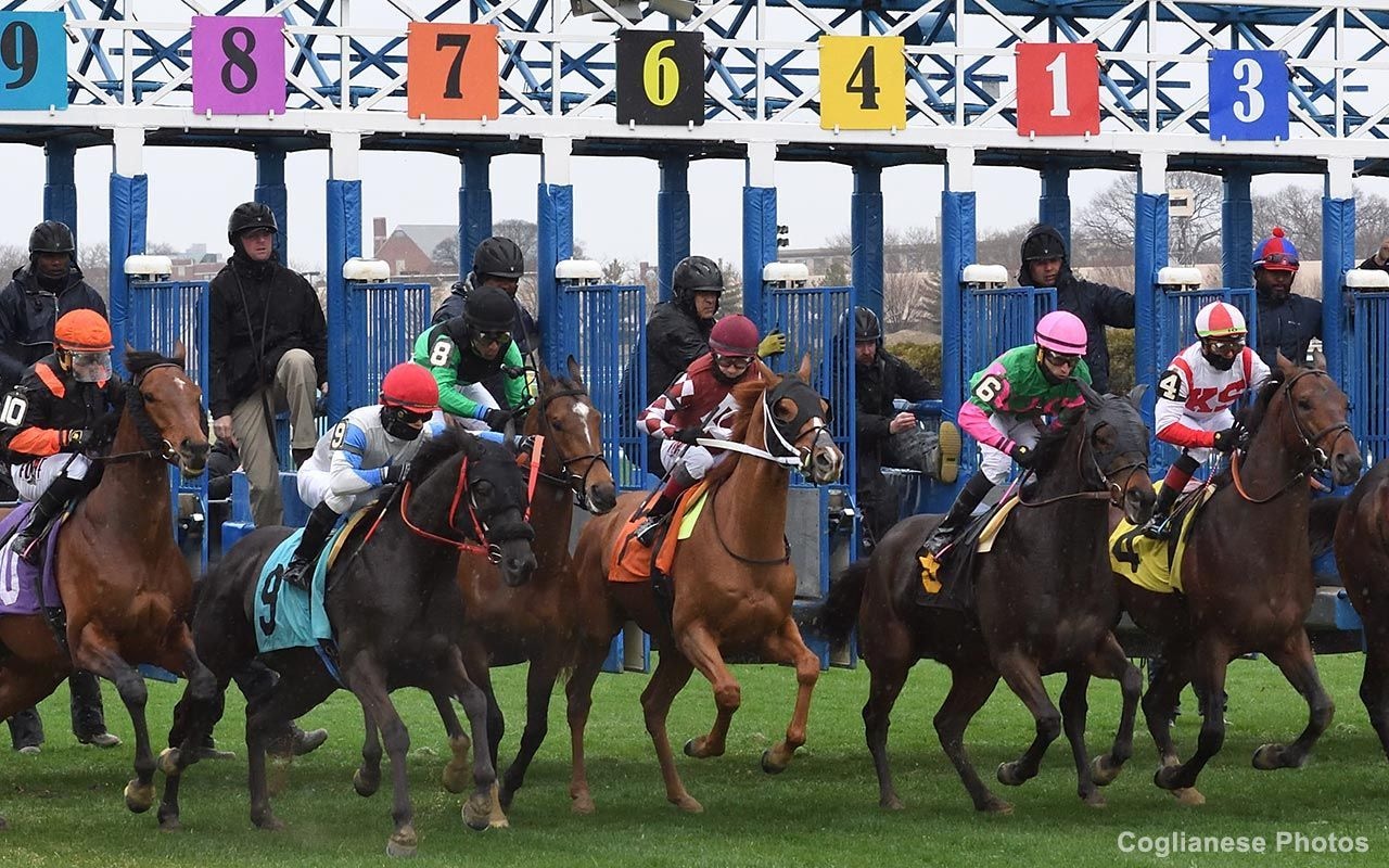 Racing at Aqueduct