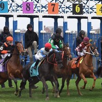 Racing at Aqueduct