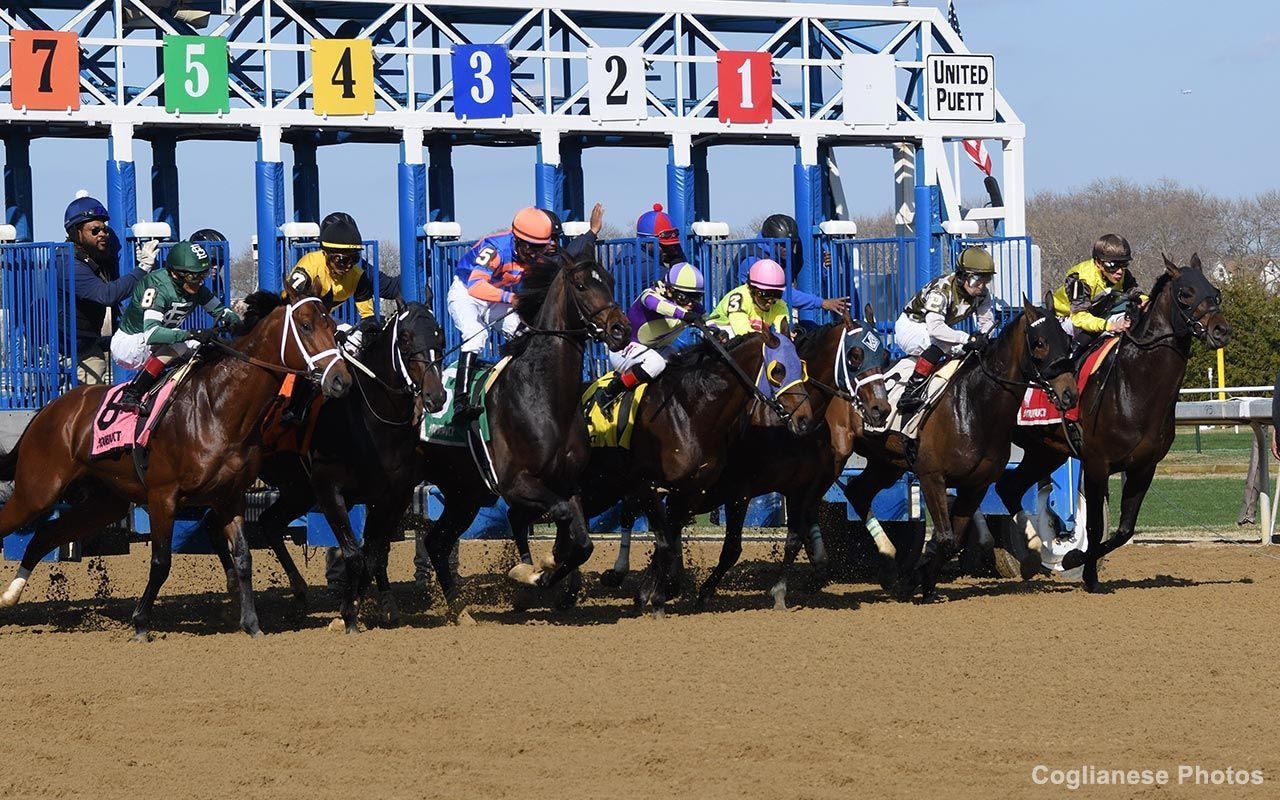 Racing at Aqueduct