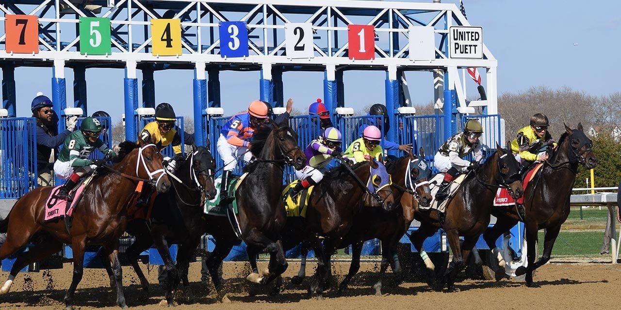 Racing at Aqueduct