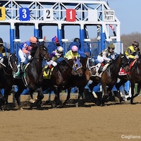 Racing at Aqueduct