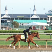 Country House under the TwinSpires