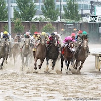 The 2019 Kentucky Derby (G1) at Churchill Downs took place over a sloppy track.