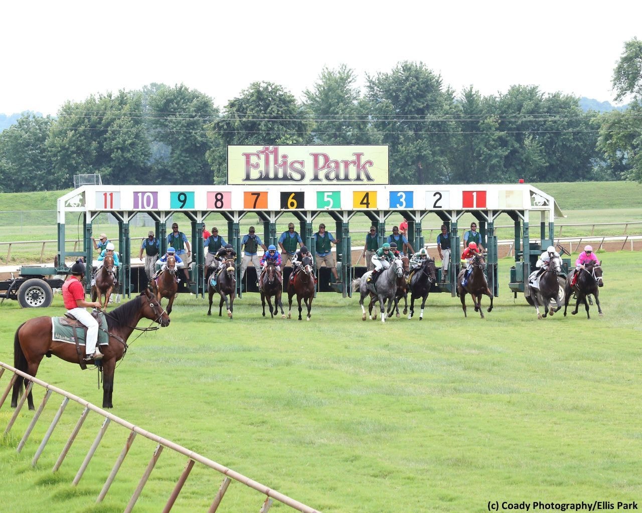 Racing at Ellis Park (Photo by Coady Photography/Ellis Park)