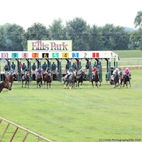 Racing at Ellis Park (Photo by Coady Photography/Ellis Park)