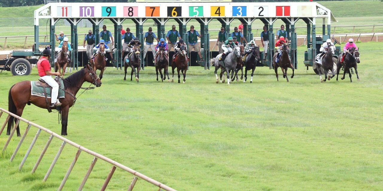 Racing at Ellis Park (Photo by Coady Photography/Ellis Park)