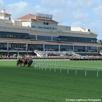 Gulfstream Park
