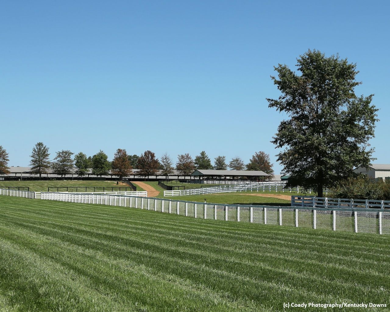 Kentucky Downs