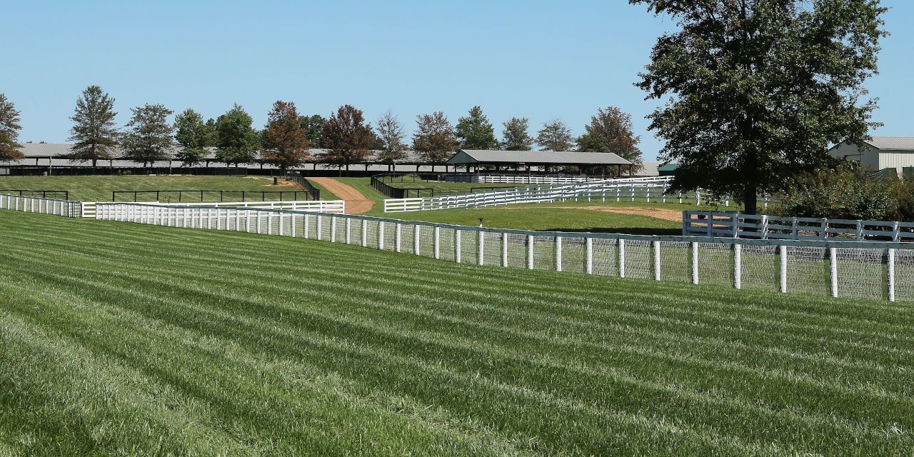 Kentucky Downs