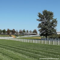 Kentucky Downs