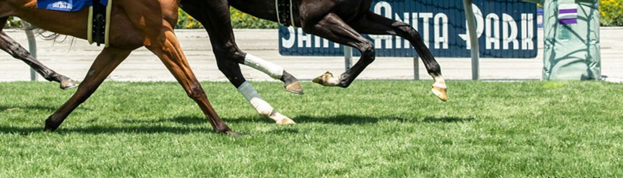 Racing at Santa Anita