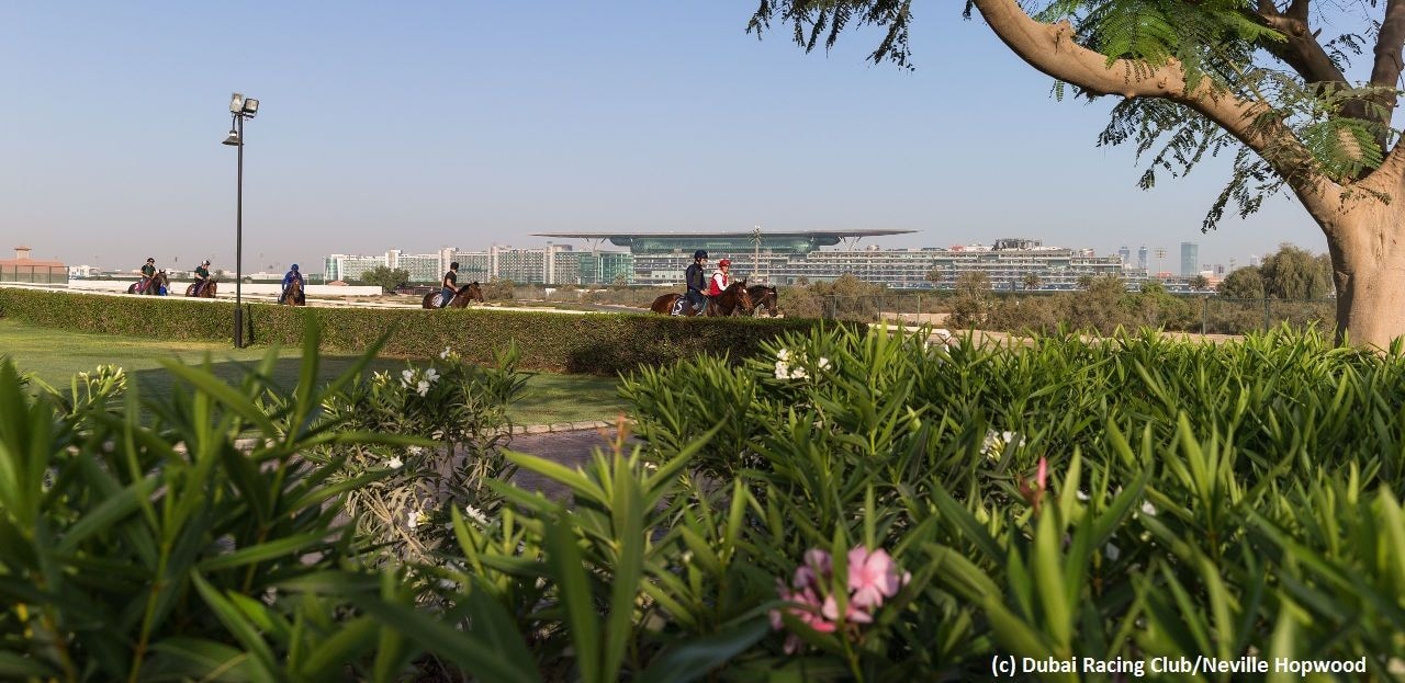 Scenic view of Meydan