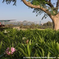 Scenic view of Meydan