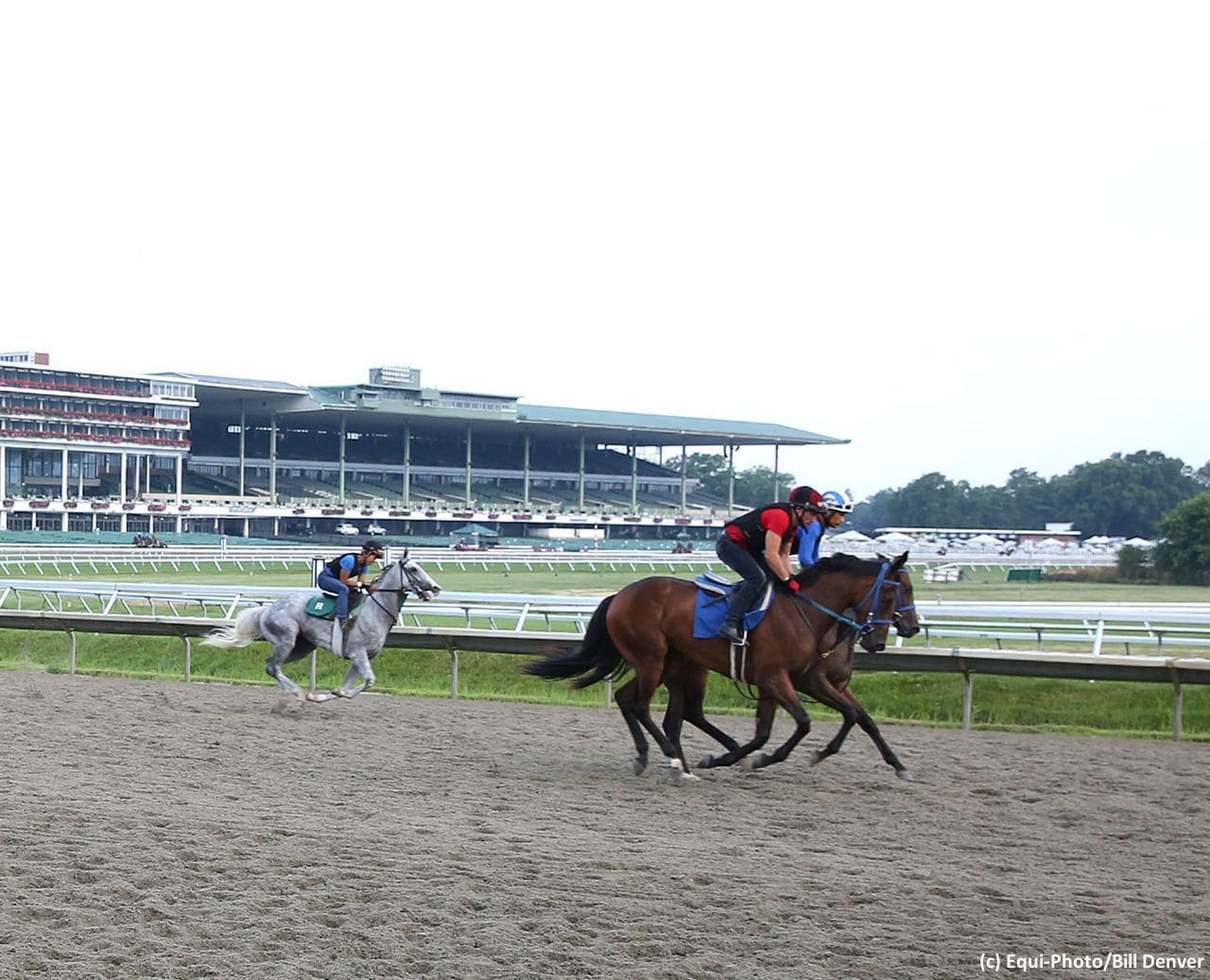 Monmouth Park (Photo by Equi-Photo/Bill Denver)
