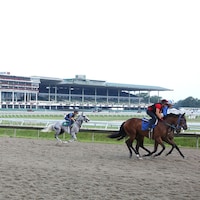 Monmouth Park (Photo by Equi-Photo/Bill Denver)