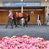 Presque Isle Downs