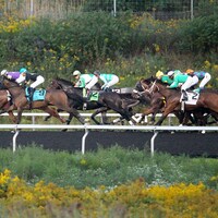 Presque Isle Downs Racing