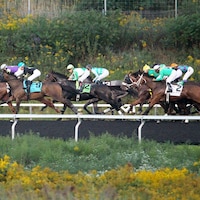 Racing at Presque Isle Downs