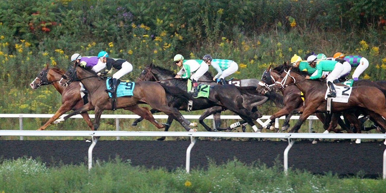 Racing at Presque Isle Downs