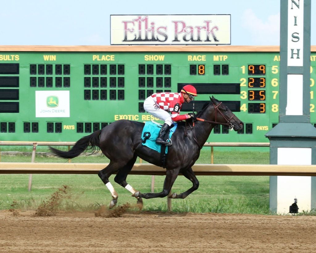 Racing at Ellis Park.