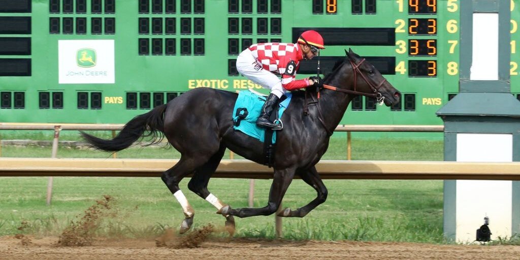 Racing at Ellis Park.