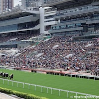 Sha Tin Racecourse