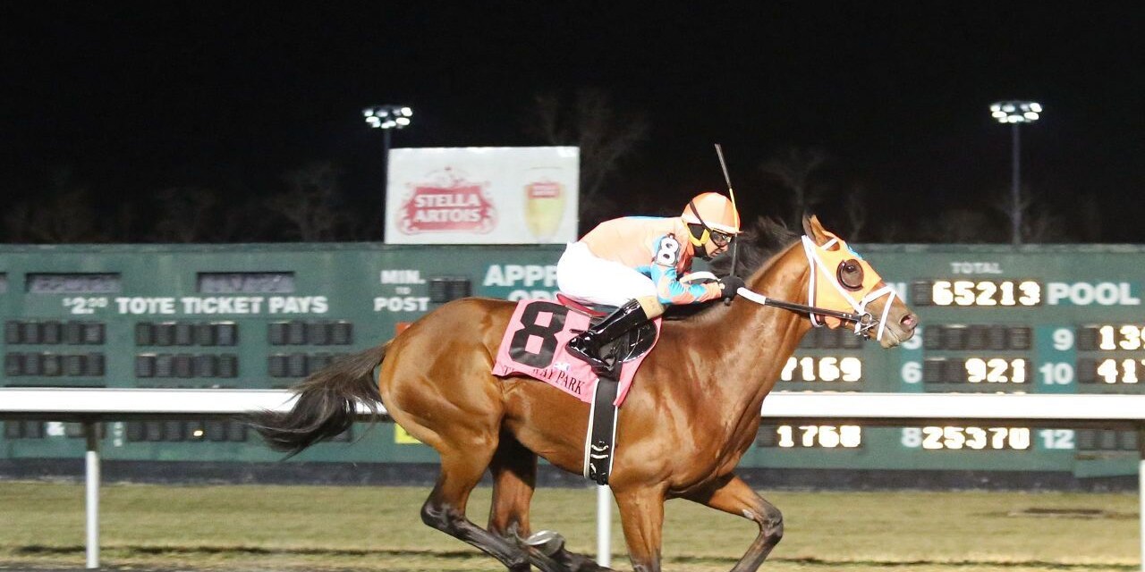 Racing at Turfway Park